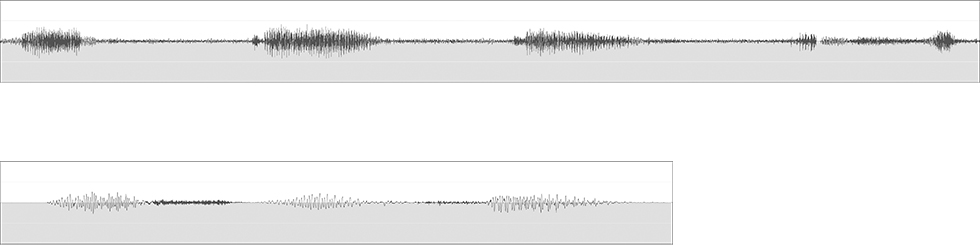 drenkwitz echo